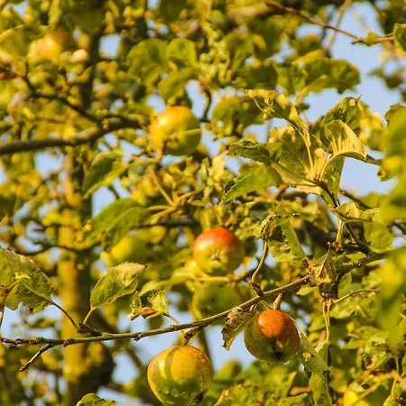 Gutshof Dubnitz Gutshof Dubnitz -ferienwohnung 7 